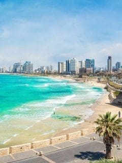 Free dating sites nz in Tel Aviv-Yafo