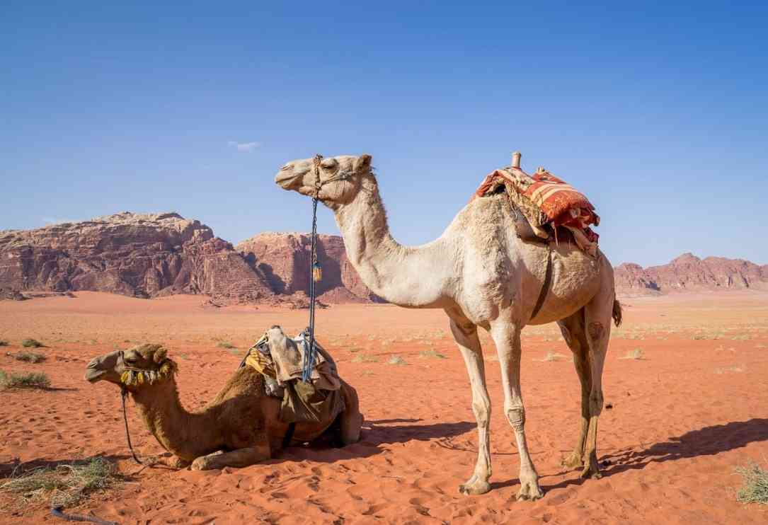 solo female travel in jordan