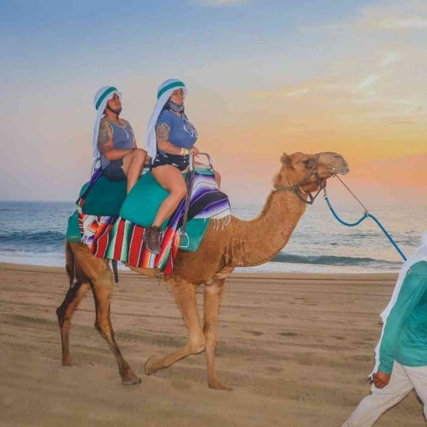 Camel Safari and ATV tour combo