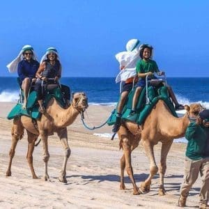 los cabos camel ride