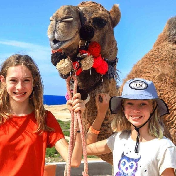 los cabos camel safari
