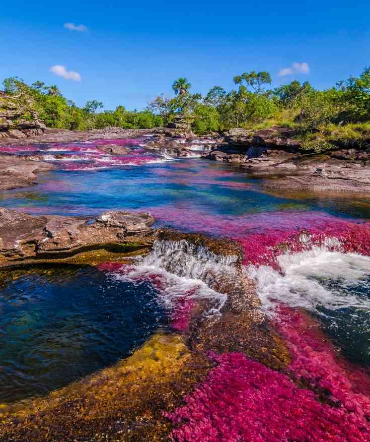 Things to do in Colombia - Caño Cristales